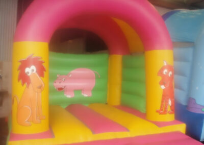 Bouncy Castles Lucan Zoo Theme