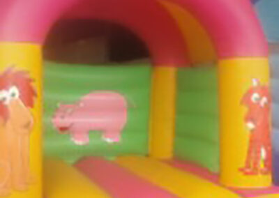 Bouncy Castles Lucan Zoo Theme